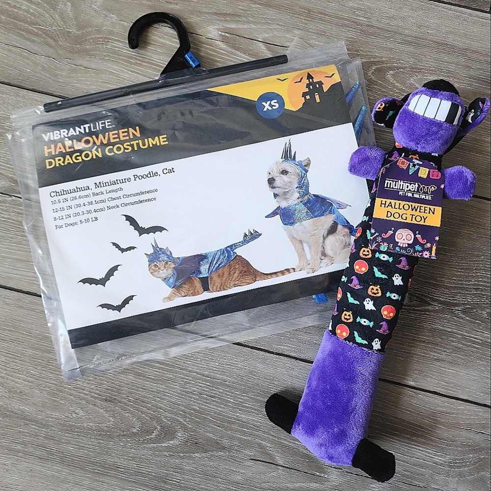 Halloween dragon costume and squeaker toy